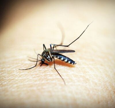 /pf/resources/images/abc-placeholder.png?d=2419