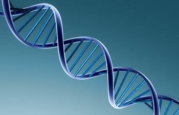 genetica-142455000000-394053.jpg