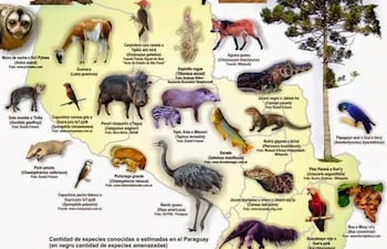 mapa-de-especies-en-peligro-de-extincion--70243000000-1089059.jpg