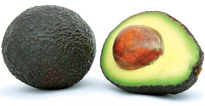 Imagen sin descripción