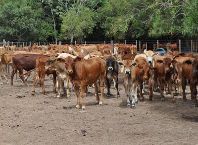 /pf/resources/images/abc-placeholder.png?d=2421