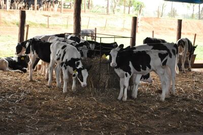 /pf/resources/images/abc-placeholder.png?d=2424