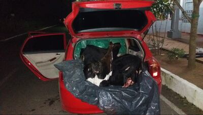 /pf/resources/images/abc-placeholder.png?d=2394