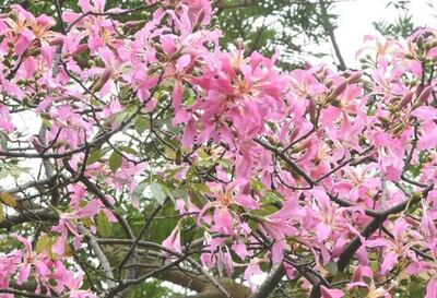 /pf/resources/images/abc-placeholder.png?d=2421