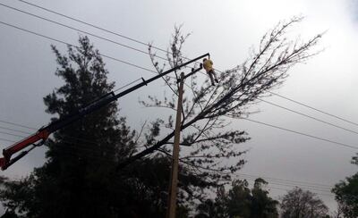 /pf/resources/images/abc-placeholder.png?d=2426