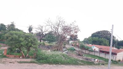 /pf/resources/images/abc-placeholder.png?d=2394