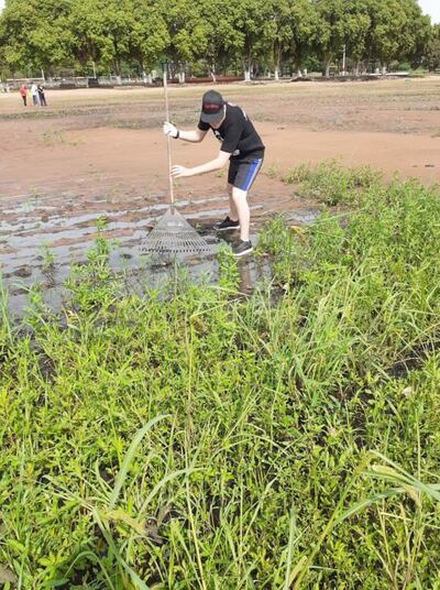 Ciudadanos limpiaron hace días la orilla del lago en Areguá.