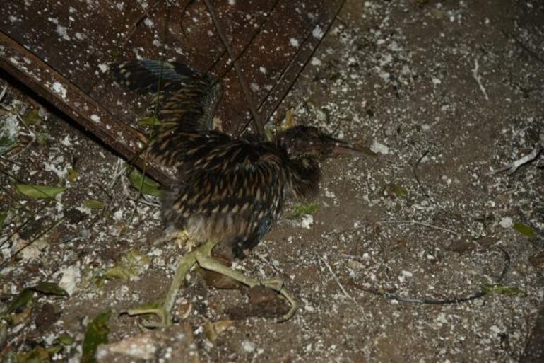 /pf/resources/images/abc-placeholder.png?d=2395