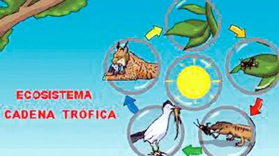 /pf/resources/images/abc-placeholder.png?d=2427