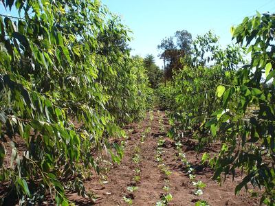 /pf/resources/images/abc-placeholder.png?d=2425