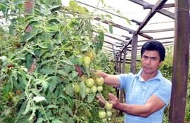 jose-ruiz-diaz-es-uno-de-los-tantos-productores-de-yguazu-que-optaron-por-la-fruti-horticultura-hace-dos-decadas-pero-lamenta-la-inestabilidad-que-s-221211000000-1387568.jpg
