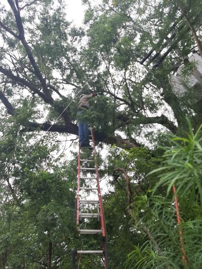 Los funcionarios de la Ande acudieron horas después a verificar el reclamo.