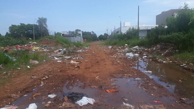 Imagen del vertedero clandestino, en Pedro Juan.