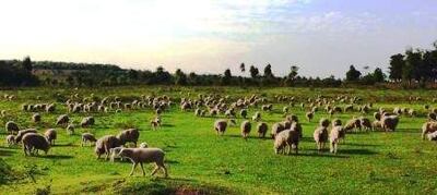 /pf/resources/images/abc-placeholder.png?d=2421