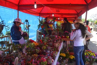 Expositores muestran sus flores al público.
