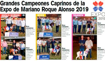 Caprinos premiados.