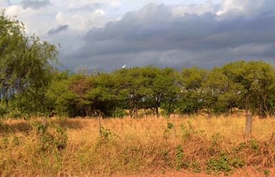 El ambiente del Chaco está seco, aunque casi a diario se observan  nubes “prometedoras”.