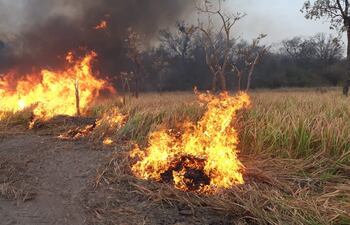 Los fuertes vientos desataron nuevos incendios en territorio paraguayo.