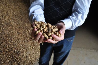 /pf/resources/images/abc-placeholder.png?d=2395