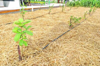 /pf/resources/images/abc-placeholder.png?d=2425