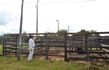 el-matadero-municipal-se-esta-acondicionando-para-obtener-la-licencia--203722000000-1561380.jpg
