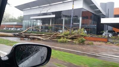 /pf/resources/images/abc-placeholder.png?d=2429