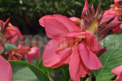 /pf/resources/images/abc-placeholder.png?d=2421