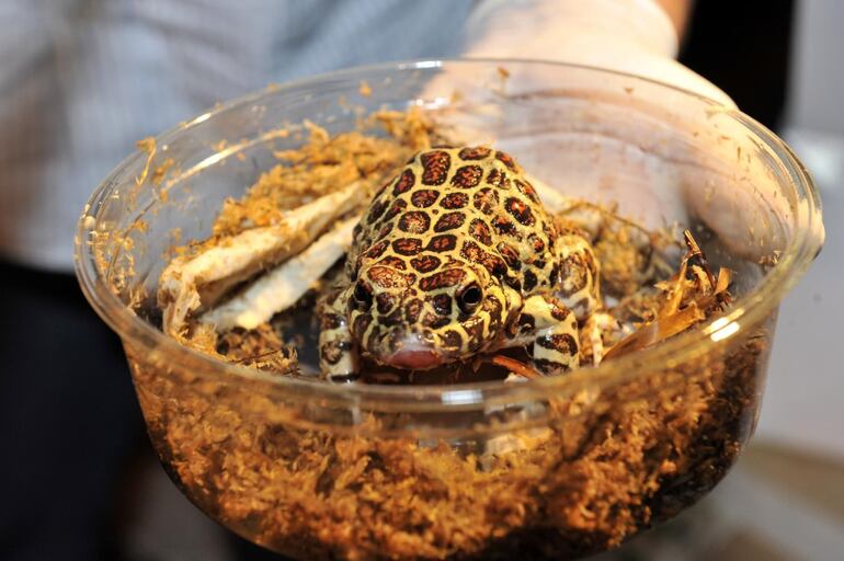 /pf/resources/images/abc-placeholder.png?d=2061