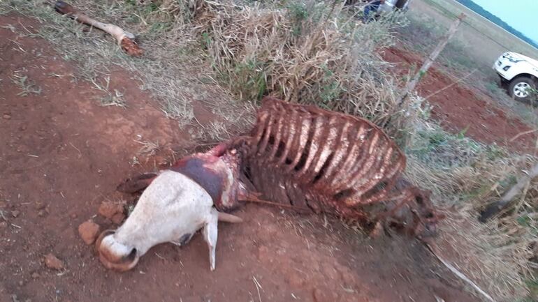 Desconocidos quemaron una camioneta en Campos Morombí.