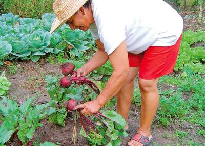 /pf/resources/images/abc-placeholder.png?d=2419