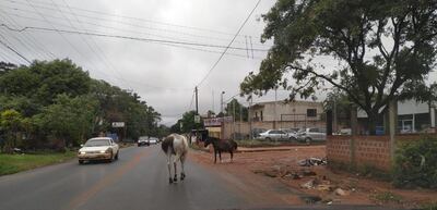 /pf/resources/images/abc-placeholder.png?d=2419