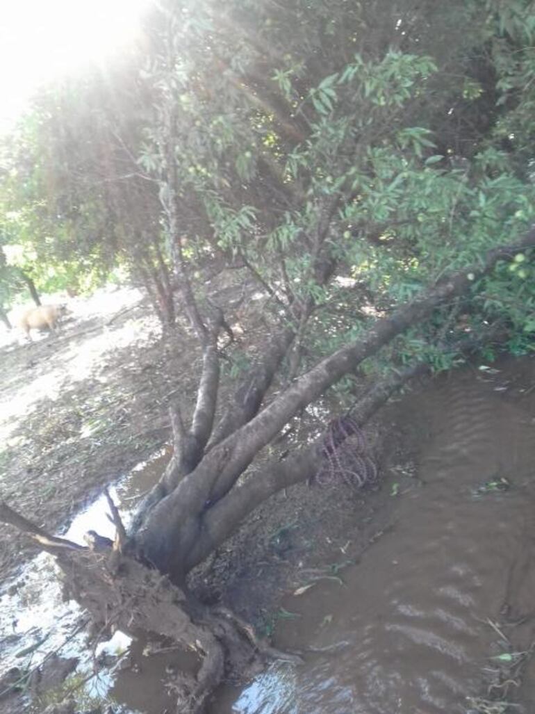 /pf/resources/images/abc-placeholder.png?d=2394