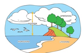 la-biosfera-y-los-ecosistemas-02905000000-1370978.jpg