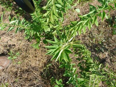 /pf/resources/images/abc-placeholder.png?d=2420