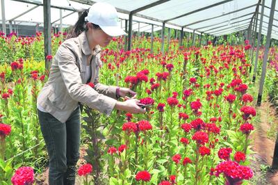 /pf/resources/images/abc-placeholder.png?d=2420