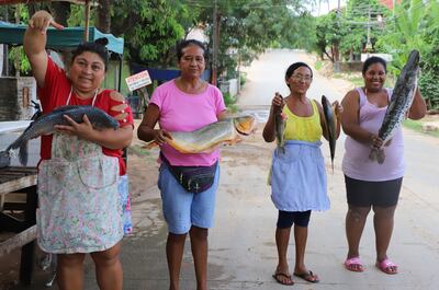 “Pila memete” contra el coronavirus