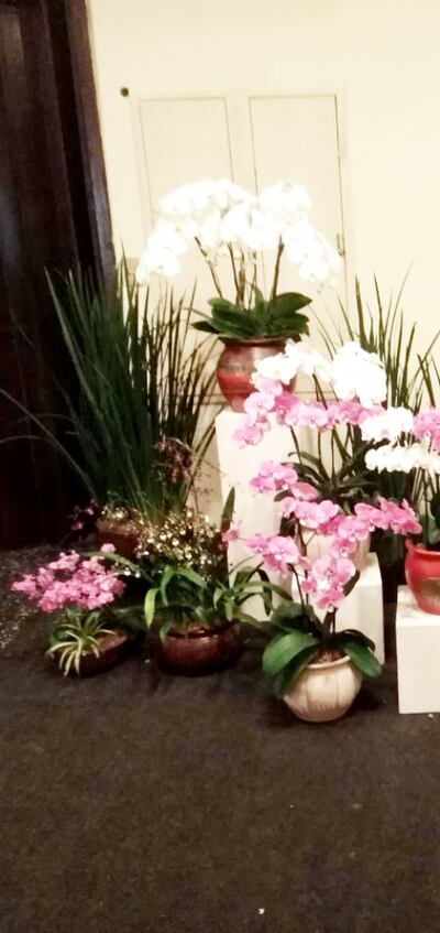 Realizaron el juzgamiento de orquídeas a cargo de selecto jurado internacional.