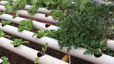 /pf/resources/images/abc-placeholder.png?d=2421