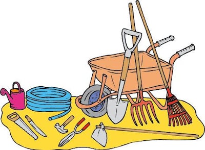 Imagen sin descripción