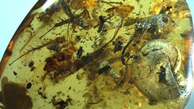 /pf/resources/images/abc-placeholder.png?d=2393