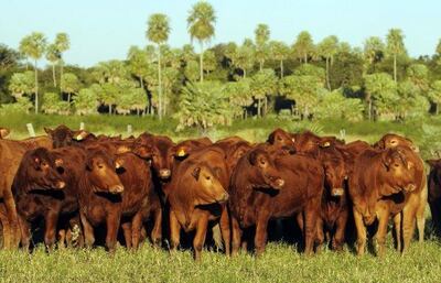 /pf/resources/images/abc-placeholder.png?d=2394