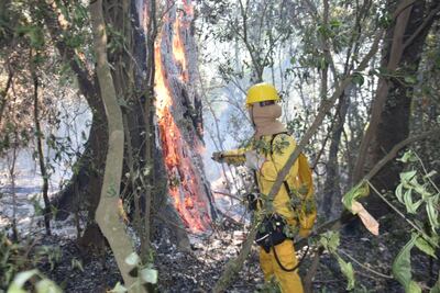 La falta de agua es uno de los grandes inconvenientes para sofocar las llamas.