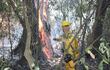 La falta de agua es uno de los grandes inconvenientes para sofocar las llamas.