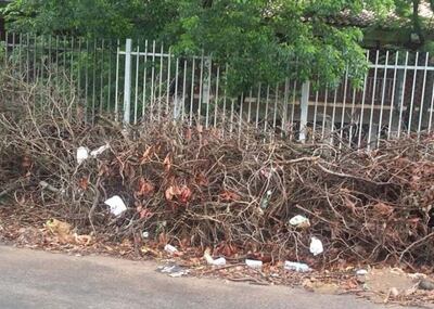 /pf/resources/images/abc-placeholder.png?d=2395