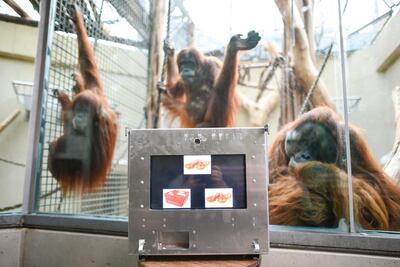 /pf/resources/images/abc-placeholder.png?d=2419