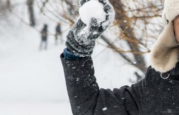 bola-de-nieve-162624000000-1782646.jpg