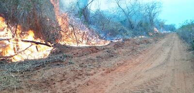 El fuego arrasó con toda la zona forestal, hábitat de miles de animales silvestres, de la zona del Pantanal paraguayo, en Bahía Negra.