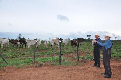 Imagen sin descripción