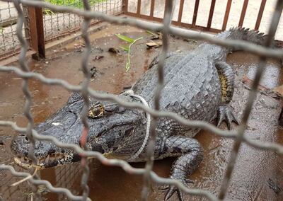 /pf/resources/images/abc-placeholder.png?d=2421