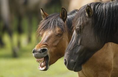 /pf/resources/images/abc-placeholder.png?d=2421